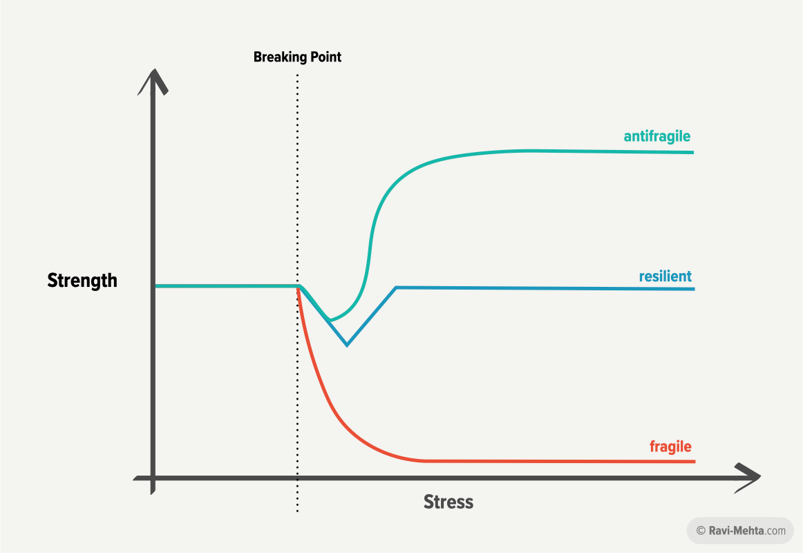 How To Build Antifragile Companies